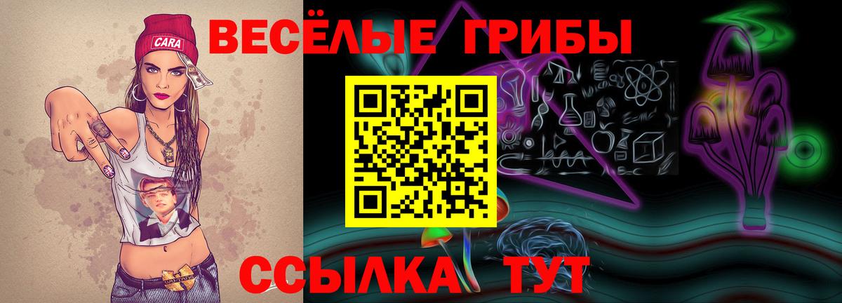 Галлюциногенные грибы Magic Shrooms Касимов